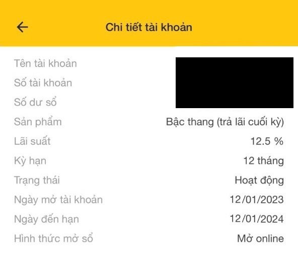 Người gửi tiền chóng mặt vì cùng một ngân hàng nhưng lãi suất mỗi nơi mỗi khác - Ảnh 3.