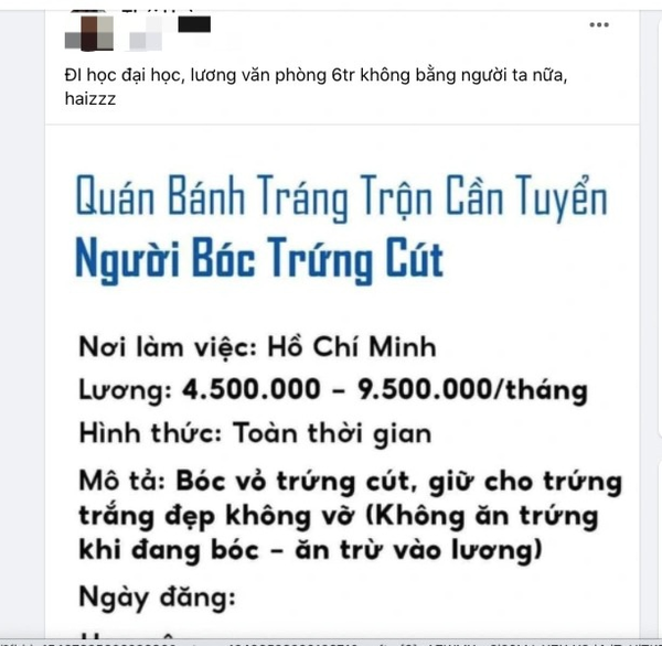  Những bài đăng tuyển người bóc vỏ trứng cút với mức lương cao khiến nhiều nhân viên văn phòng hoang mang. (Ảnh: VietNamNet)