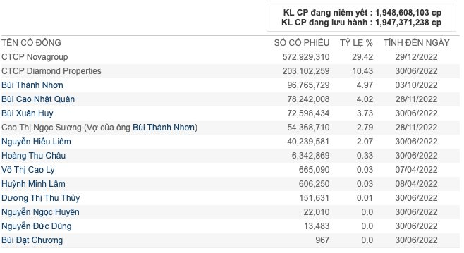 Cổ phiếu Novaland tăng liên tục, ông Bùi Thành Nhơn “bỏ túi” 1.300 tỷ trước thềm trở lại làm Chủ tịch - Ảnh 1.