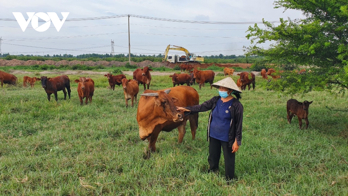 Thành tỷ phú nông dân sau 16 năm bán hết đất ở quê Thanh Hóa rồi Nam tiến vào Sài Gòn - Ảnh 2.