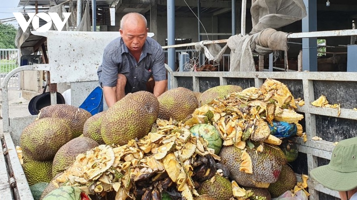 Thành tỷ phú nông dân sau 16 năm bán hết đất ở quê Thanh Hóa rồi Nam tiến vào Sài Gòn - Ảnh 3.