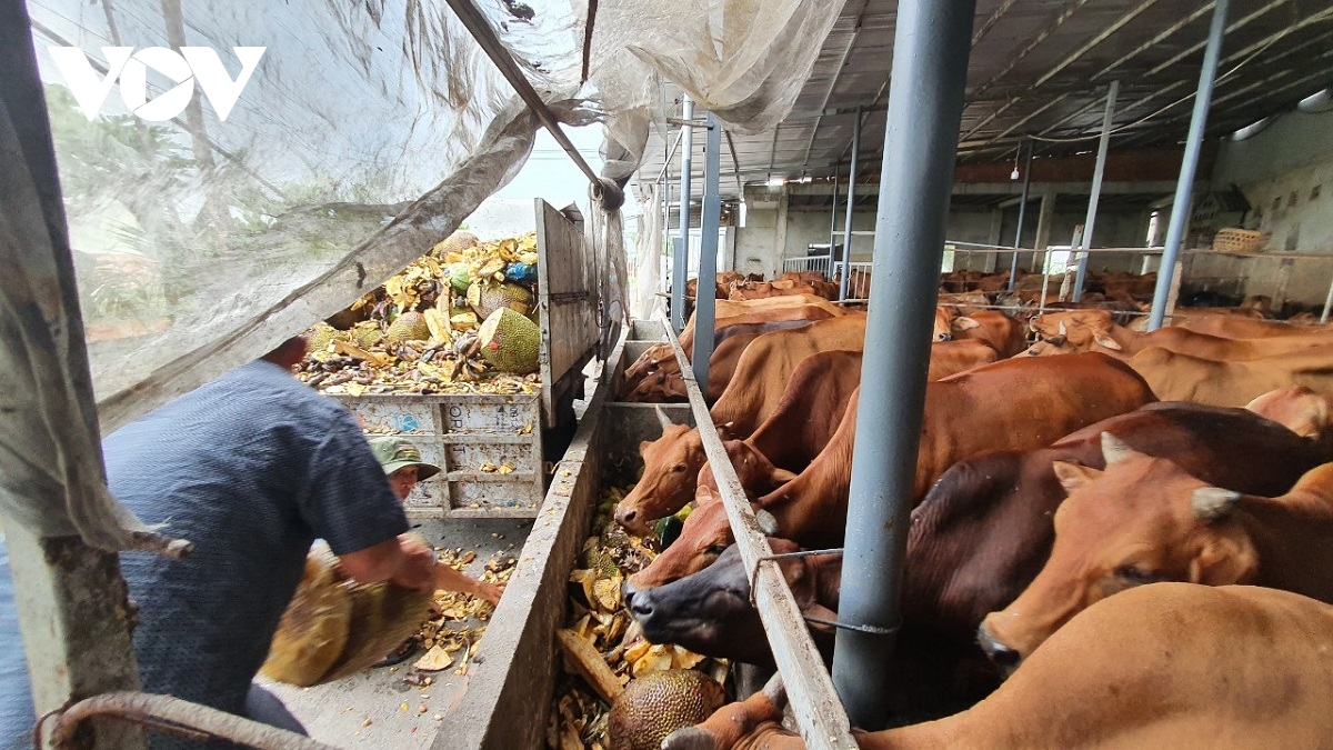 Thành tỷ phú nông dân sau 16 năm bán hết đất ở quê Thanh Hóa rồi Nam tiến vào Sài Gòn - Ảnh 5.