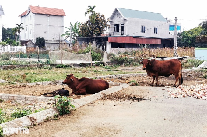 Mua bất động sản thời sốt giá, nay cay đắng đi làm bảo vệ trả lãi - 1