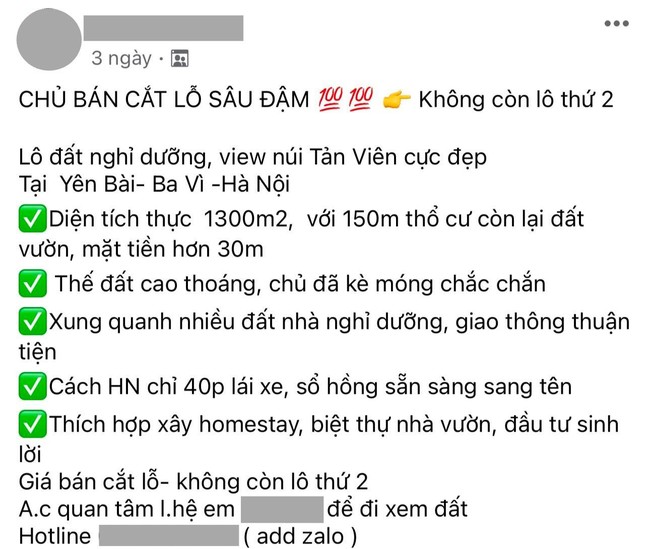 Sau 2 năm làn sóng bỏ phố "về quê nuôi cá và trồng thêm rau" bùng nổ: "Bán tháo" tràn lan, giá giảm sâu ảnh 1